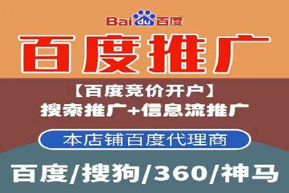 精准投放，高效转化：关键词竞价排名案例解析